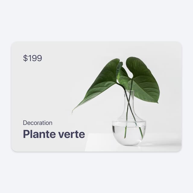 Product card with CSS